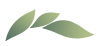 TMS